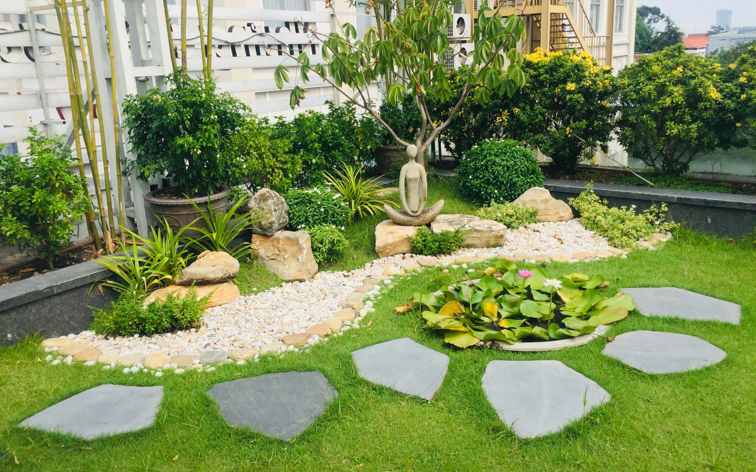 vuon-san-thuong-First-News